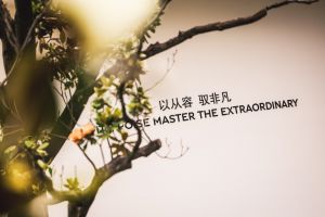 新宾利飞驰鉴赏会